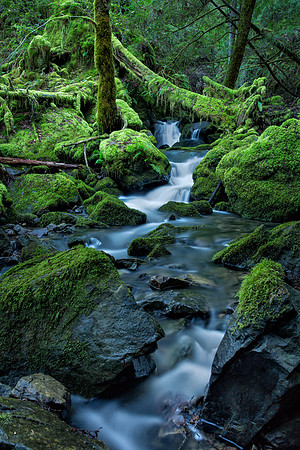 Montgomery Creek