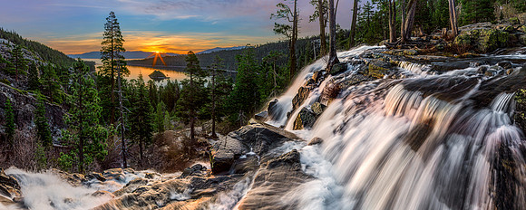 "Tahoe Gold"