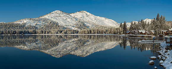 "Donner's Impression"