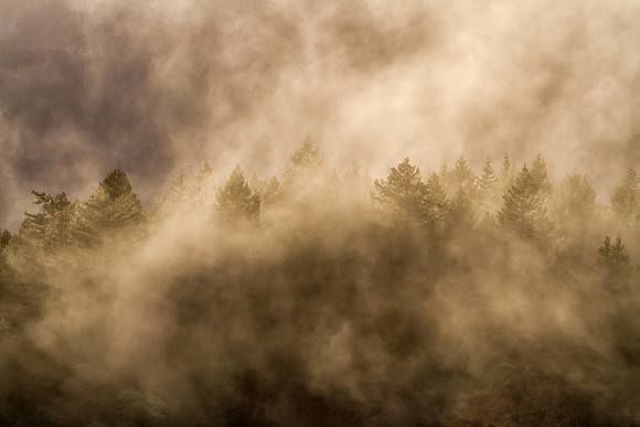 Mists of Bell Springs