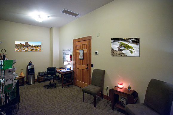 Title: Golden Mojave (20x"50"), Eagle Falls Bonsai (20"x30")