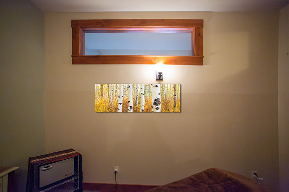 Title: Bold Ones, 20"x60"